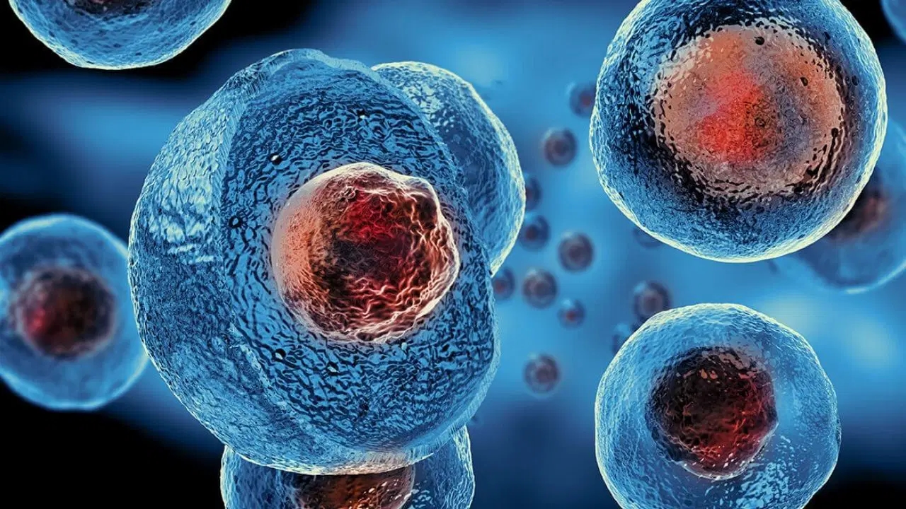 Human stem cells age faster in space