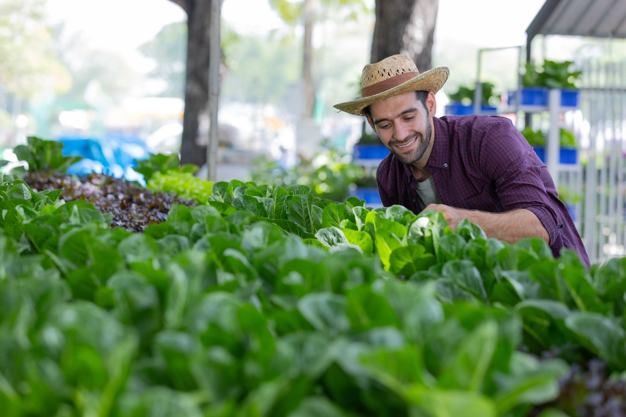 Idee imprenditoriali innovative per l'agricoltura biologica per imprenditori sostenibili