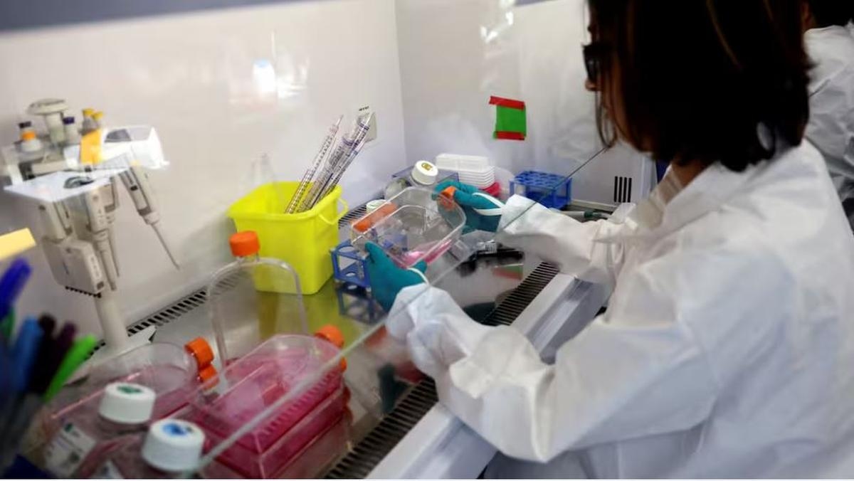 Cáncer: Nueva esperanza para combatir las células malignas más refractarias