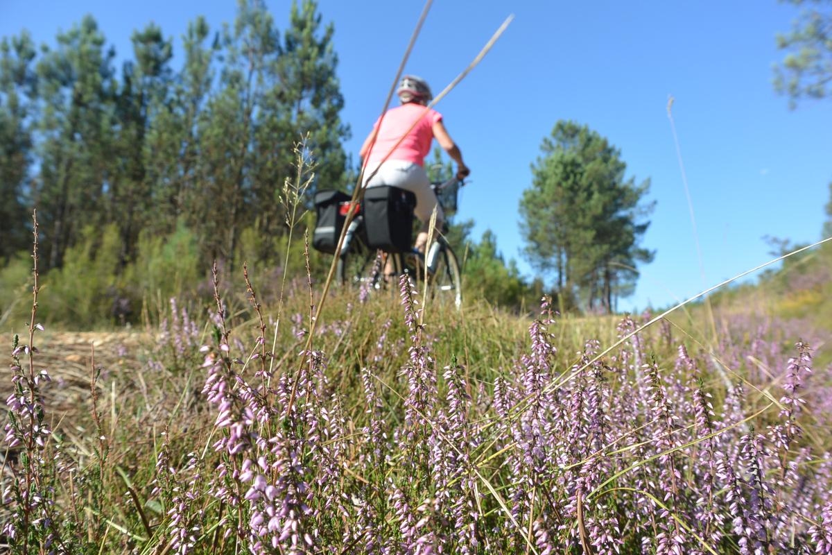 Holidays in the Dordogne: the most beautiful routes to do on Gravel, the hybrid all-terrain bike, between Isle and Dronne