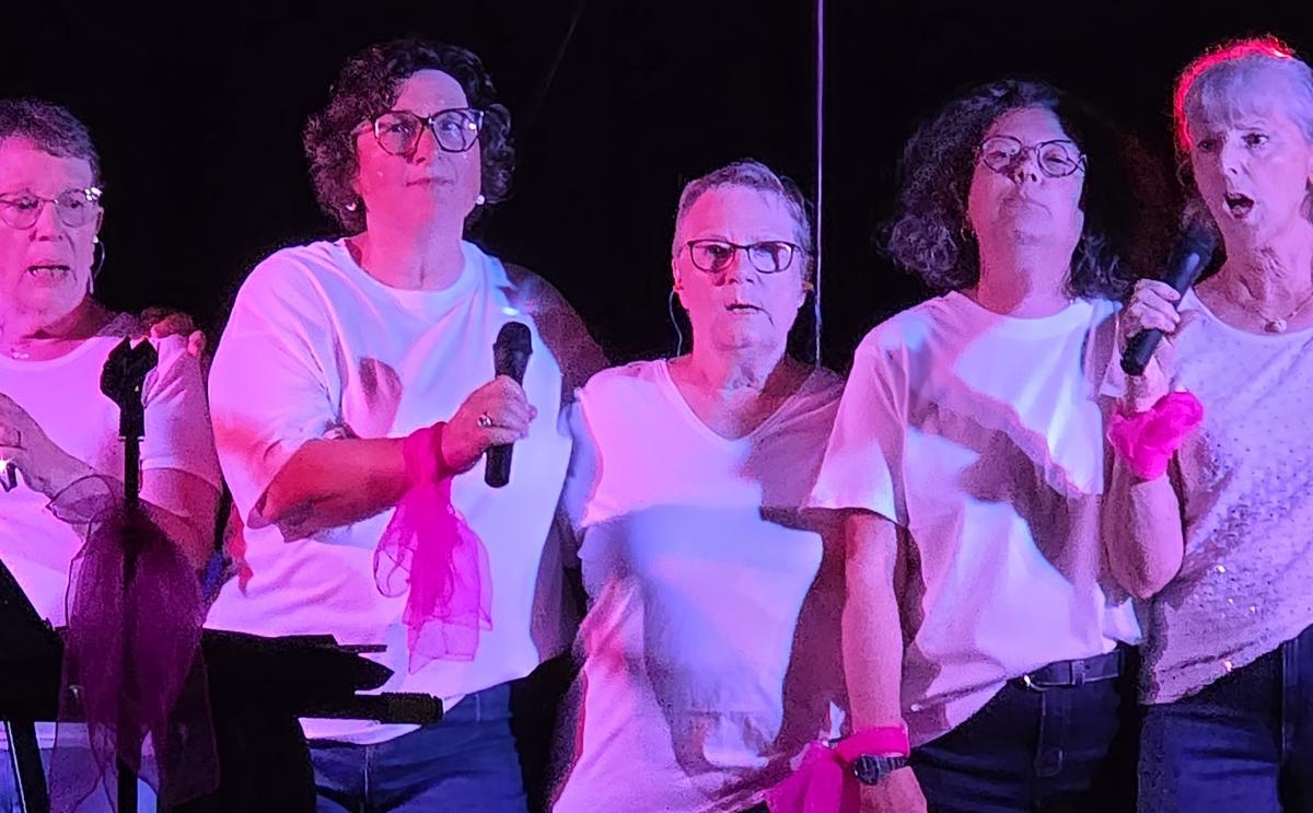 Saintes: from health rugby to art therapy, the Rocs & Roses expand their range