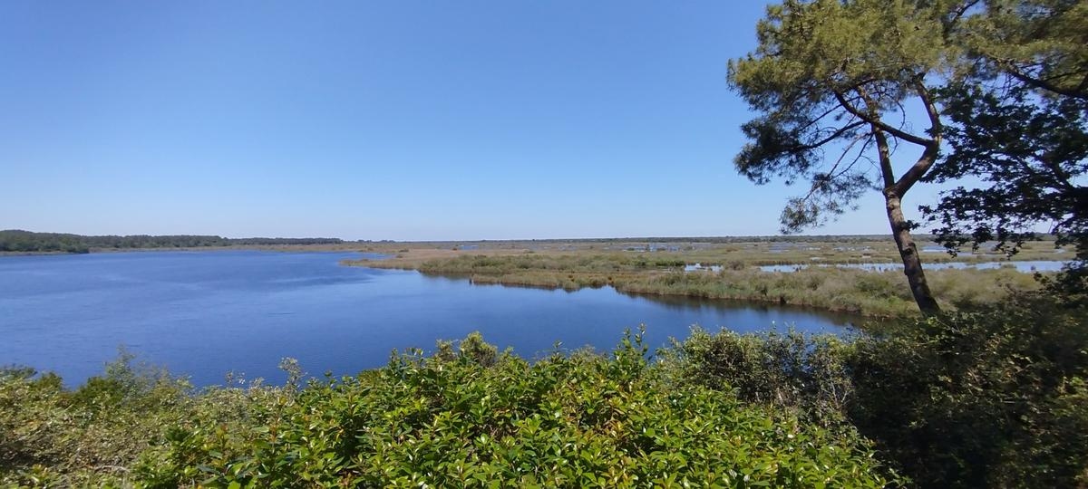 IN BILDERN: das Naturschutzgebiet Cousseau Pond