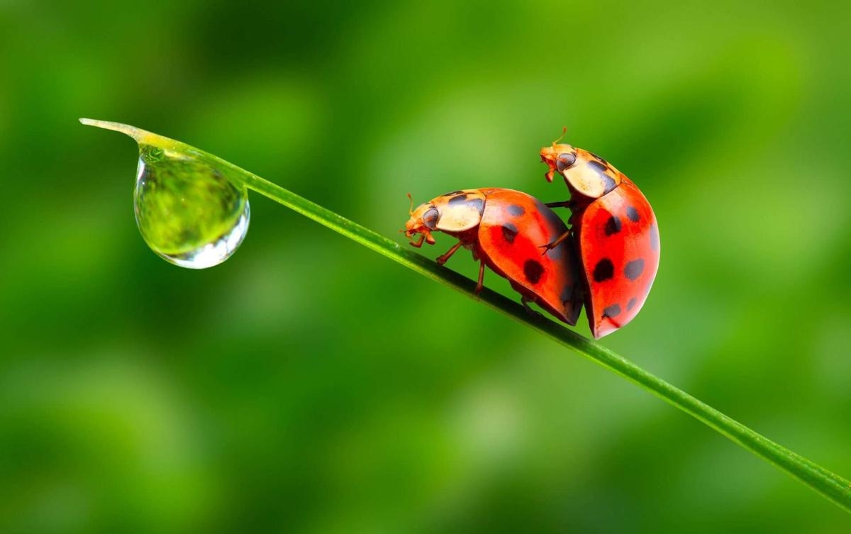 Making love in the great outdoors: here's what you need to know before you start