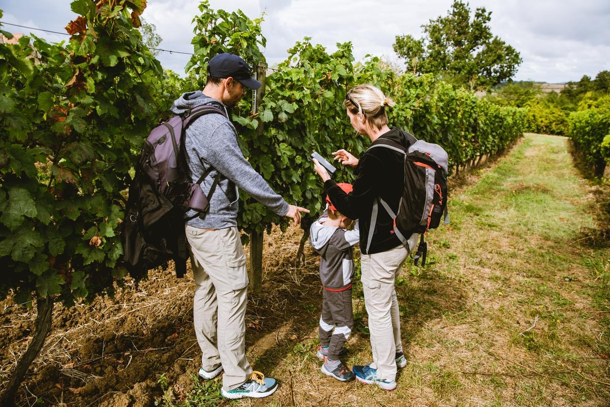 Weintourismus: Fünf unvergessliche Ausflüge in die Weinberge von Bergerac