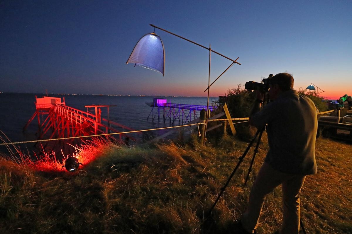 Charente-Maritime: everything is prettier at night
