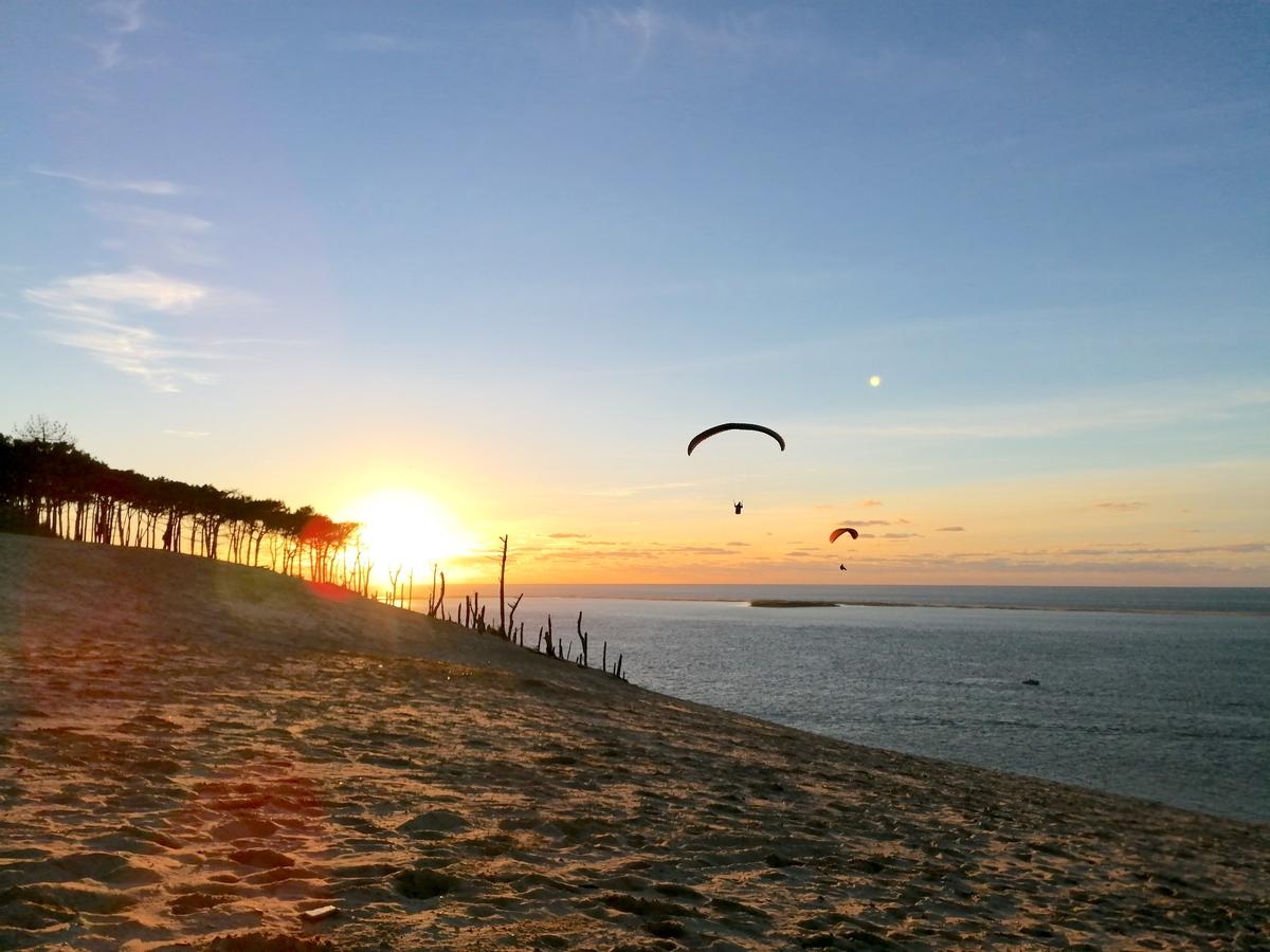 De la Duna de Pilat al Cap Ferret: nuestras ideas de salidas «naturaleza» para descubrir la cuenca de una manera diferente