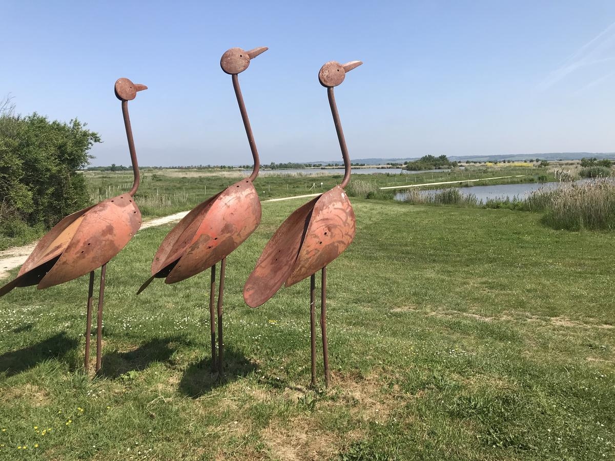 Between land and sea: the port of Vitrezay, a magical stopover on the Gironde estuary