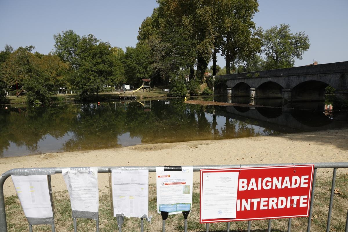 «Si esto sigue así, el camping cerrará»: las cianobacterias, el veneno del verano en este rincón de la Dordoña.