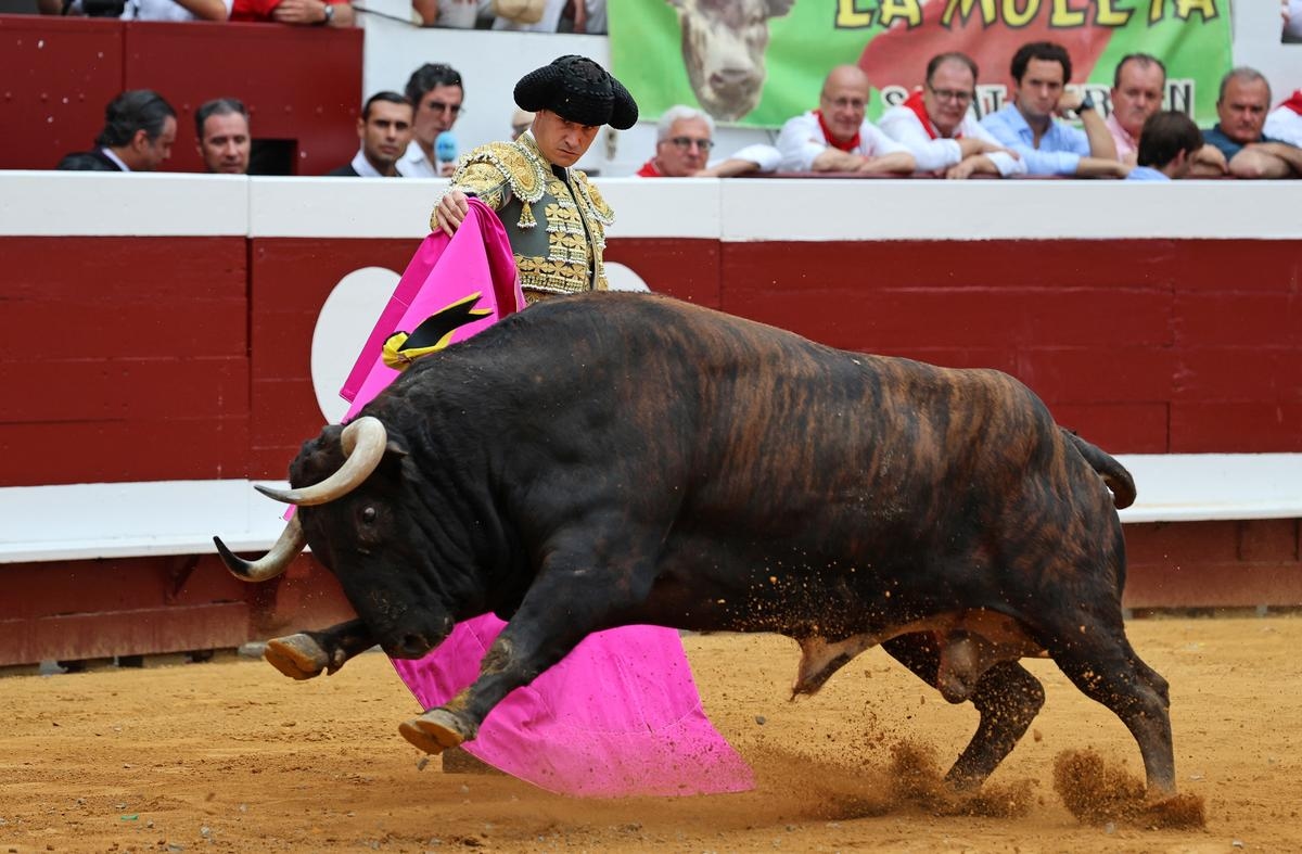 Corrida de la Feria de Dax 2025: toros de lidia, solo tenían el nombre