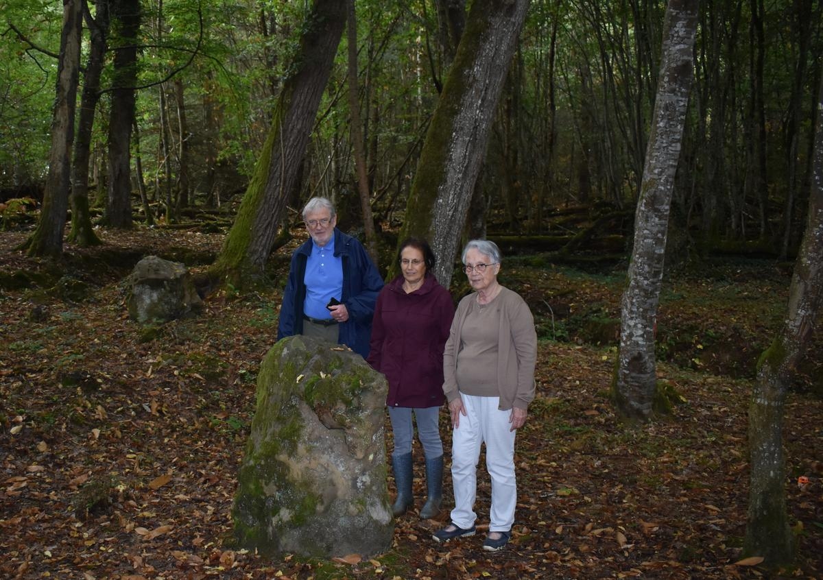 “A magical place”: in this Périgord forest, menhirs and dolmens emerge from oblivion
