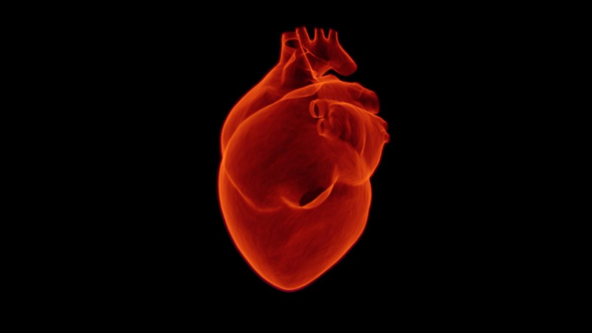 Four tips from an expert to keep your heart in tip-top shape