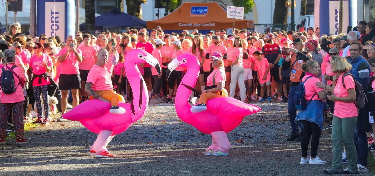 Dax: Are the Pink Races heading for a new attendance record?