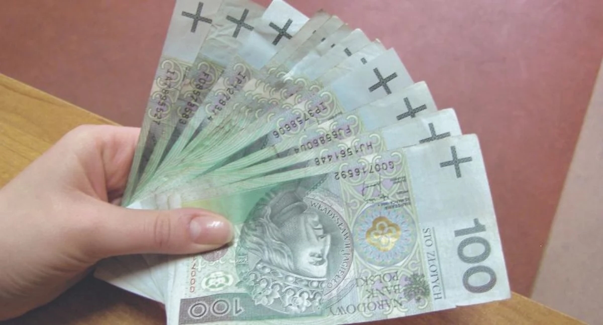 Salaries, real estate, savings. What do the heads of municipal units have?