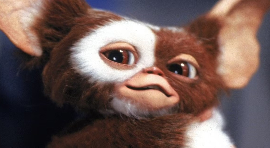 Lembra de "Gremlins"? O terceiro filme do cultuado filme de terror aguarda a aprovação de Spielberg.
