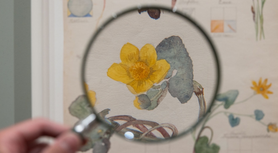 L'esprit des plantes caché dans l'aquarelle : l'exposition exclusive d'Hilma af Klint au MoMA de New York