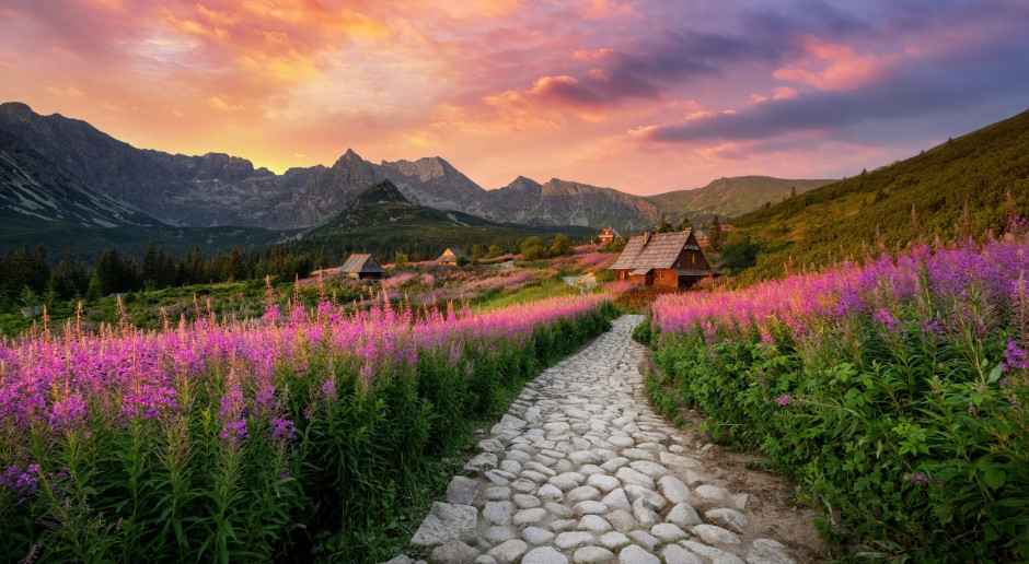 Hala Gąsienicowa pembeye büründü. Kalabalıklar bu an için Tatra Dağları'na akın ediyor.
