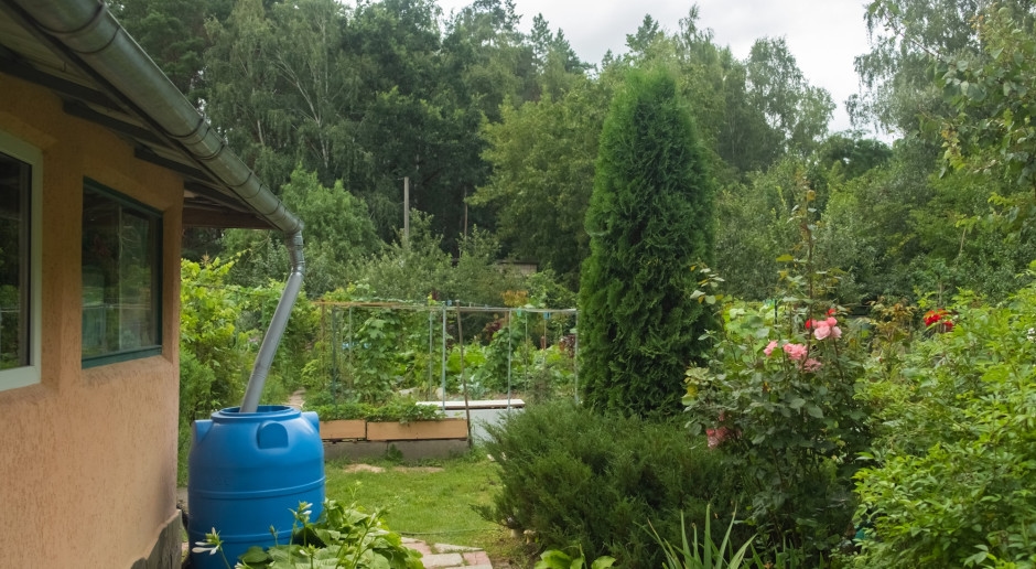 A ban that will interest Polish gardeners and allotment gardeners. It comes into force on July 1