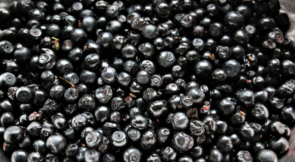 The season for forest delicacies is in full swing. Sanitary Inspectorate warns of a serious illness