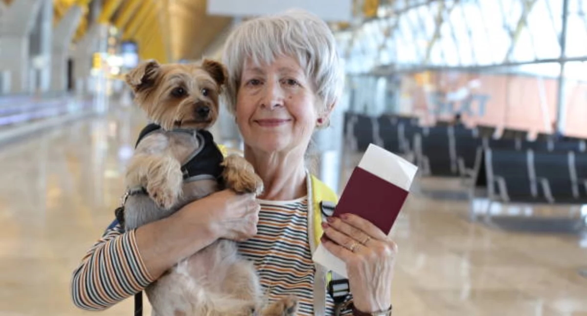 Senior on board. What should you remember when planning a plane trip?