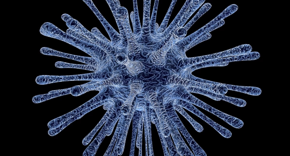 Rare diseases. How will new technologies support the diagnostic process?