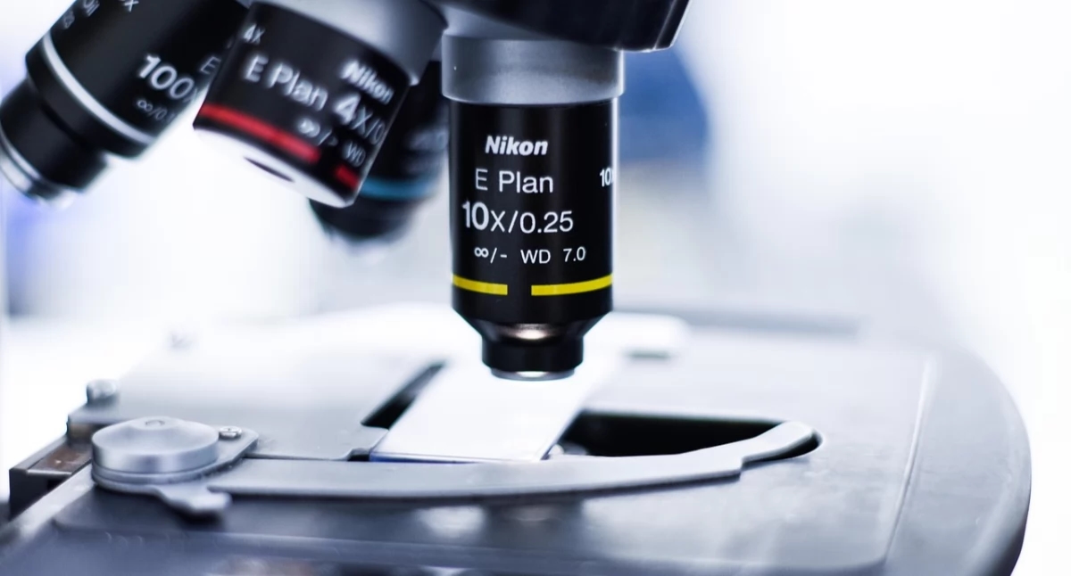 Un avance en la investigación del virus de la leucemia. El mecanismo de silenciamiento también podría ayudar a combatir el VIH.