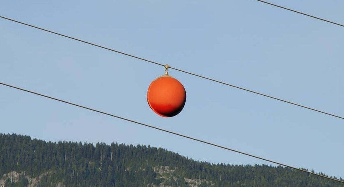 Was sind die orangefarbenen Kugeln auf Stromleitungen und warum sind sie so wichtig?