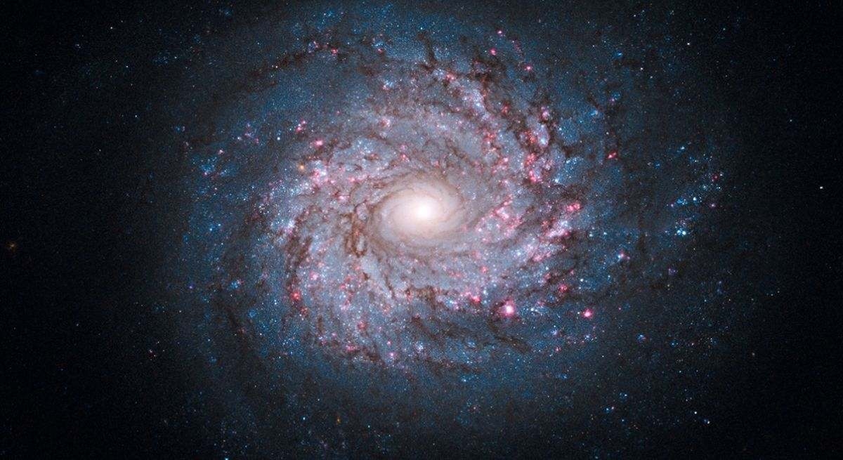 Un rebondissement inattendu : des scientifiques espagnols proposent une nouvelle théorie controversée sur l’origine de l’univers.