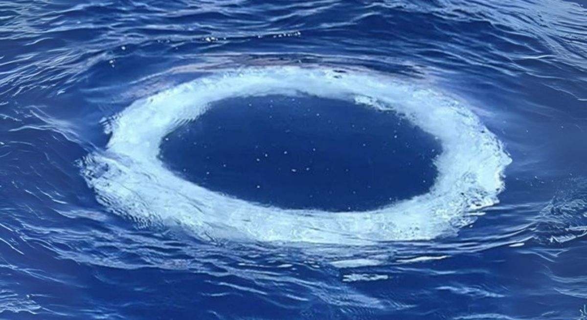 Dozens of rings appear in the sea, and science speaks out: they could be messages from "another intelligence."