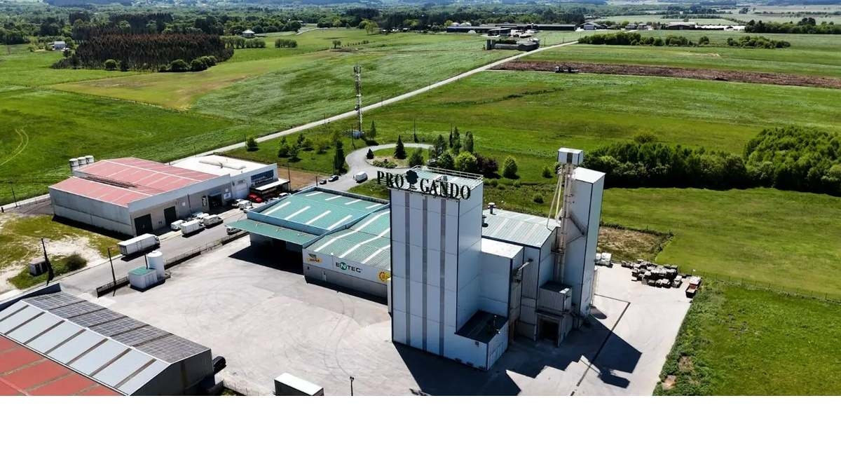 Progando numérise son usine d'aliments pour animaux avec la technologie cloud d'Arbentia