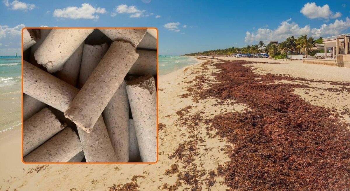 Der innovative Algenziegel: leichter, umweltfreundlicher und mit dem Potenzial, das Bauen für immer zu verändern