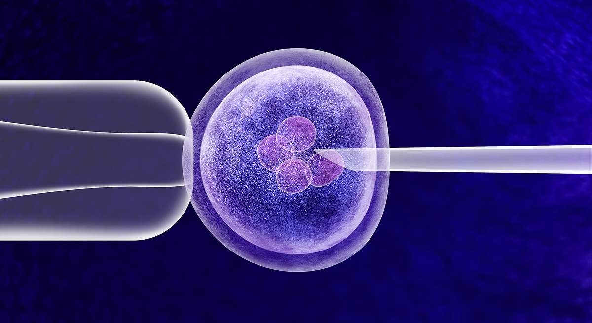 La nuova mania della Silicon Valley riguarda i bambini prodigiosi: nasce l'industria dei test genetici per lo screening degli embrioni.