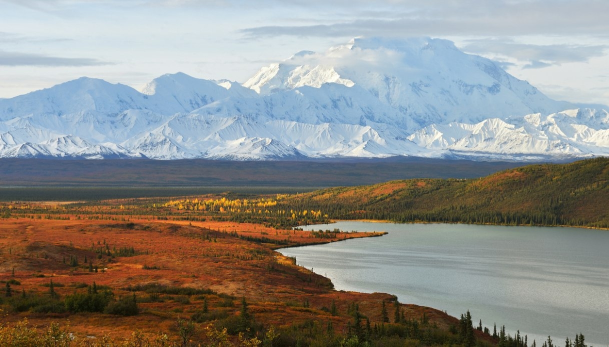 Onderweg in Alaska tussen gletsjers, elanden en beren