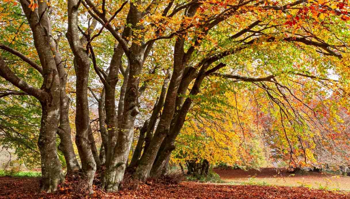 Plein air en automne : les sentiers les plus instagrammables à essayer dès maintenant