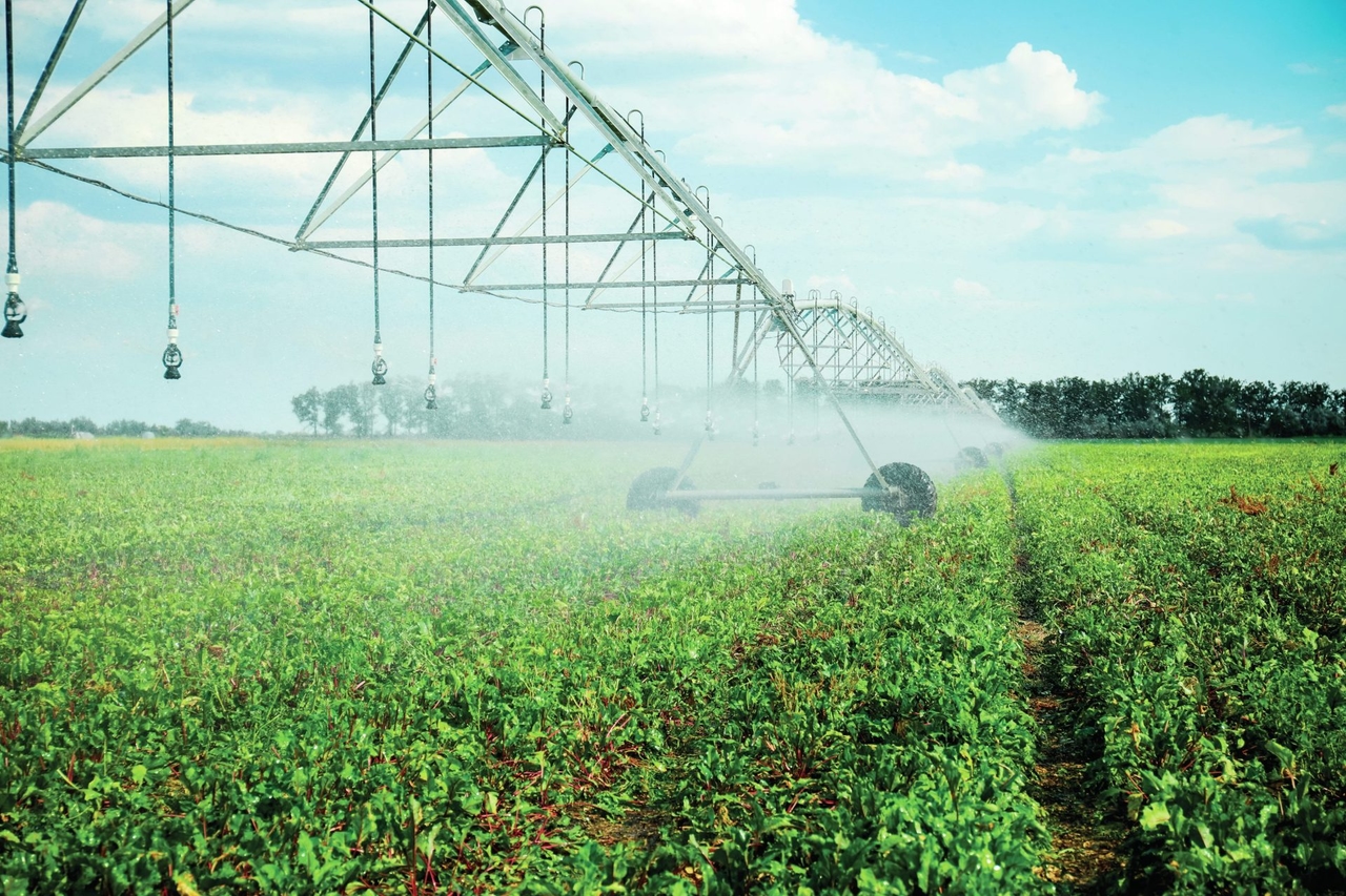 Governo cria linha de crédito de 100 milhões para a agricultura