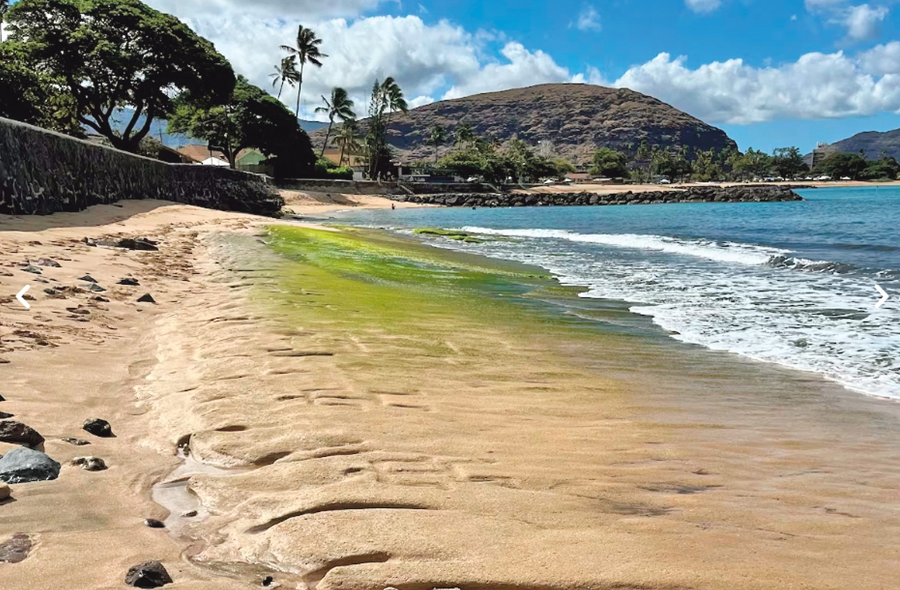500 Jahre alte Zeichnungen tauchen nach Ebbe auf Hawaii wieder auf