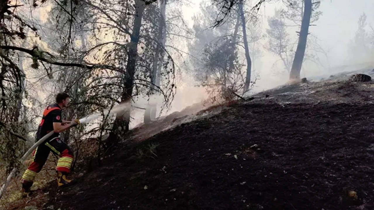 Леса сгорели в двух городах