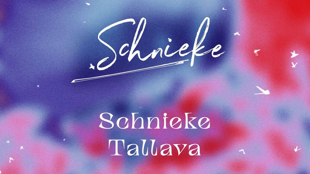 Nuevo single de Schnieke: 'Schnieke Tallava'