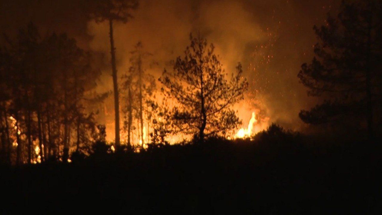 Advertencia de "alto riesgo de incendio" de OGM