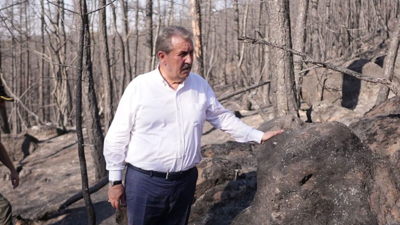 Mustafa Destici fordert Todesstrafe für Waldbrände