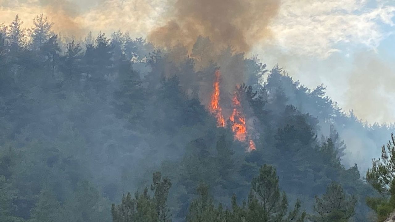 Waldbrand in Karabük!