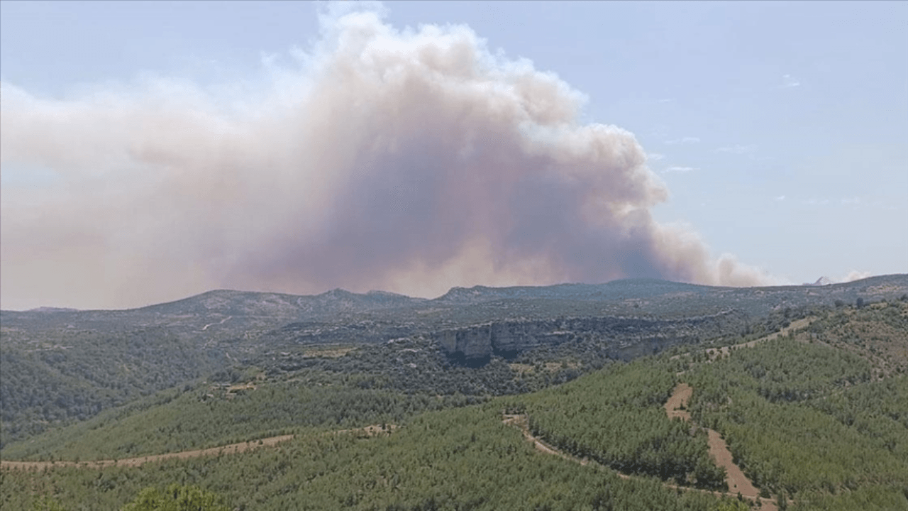 Waldbrand in Mersin und Çanakkale!