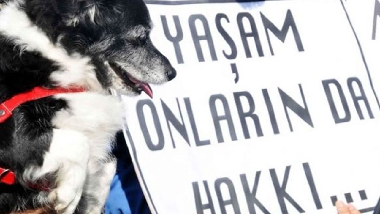 Verfassungsgericht lehnt Aufhebung des „Massakergesetzes“ ab!