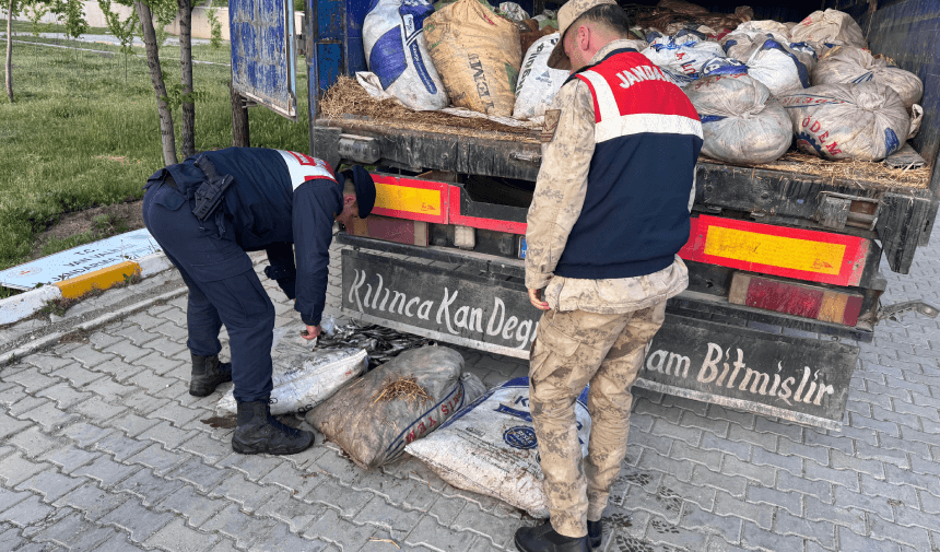 Sie erkannten das Jagdverbot nicht an! Genau 19 Tonnen wurden beschlagnahmt