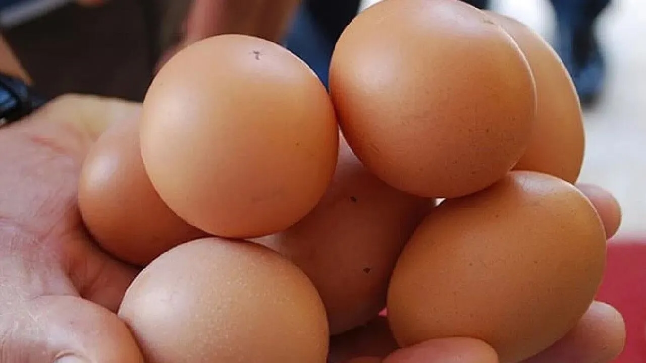 Sind Eier schlecht fürs Herz? Kritisches Statement eines Experten