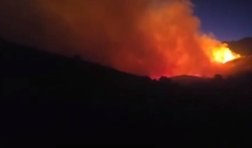 Incendie de forêt à Elazığ