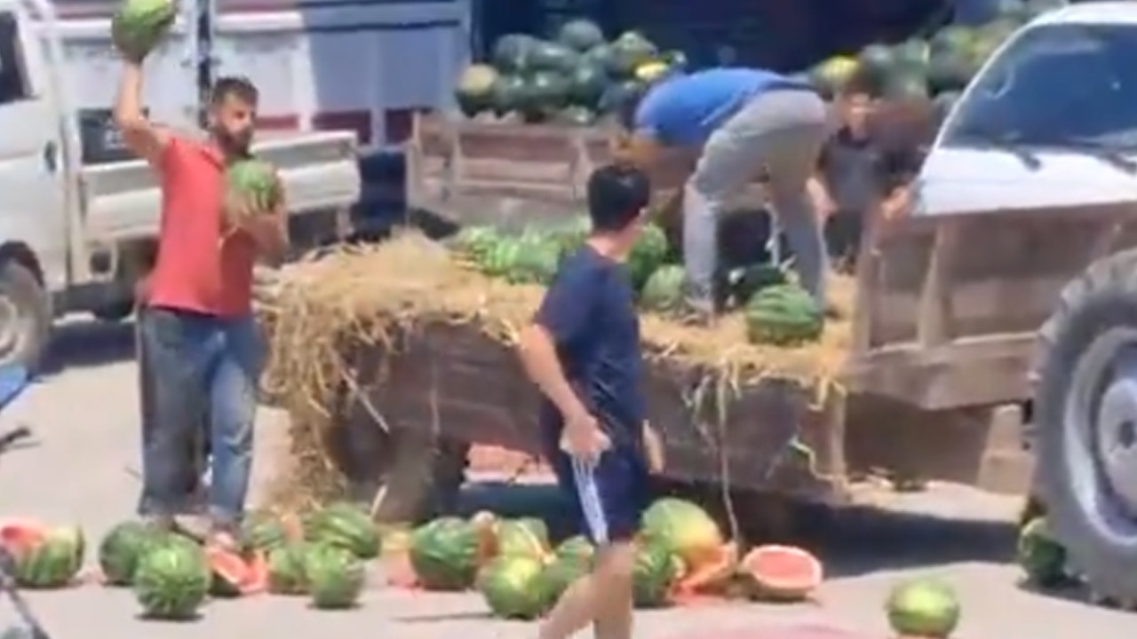 A fine of 17 million lira was requested for the producer who cut up the watermelons he could not sell!