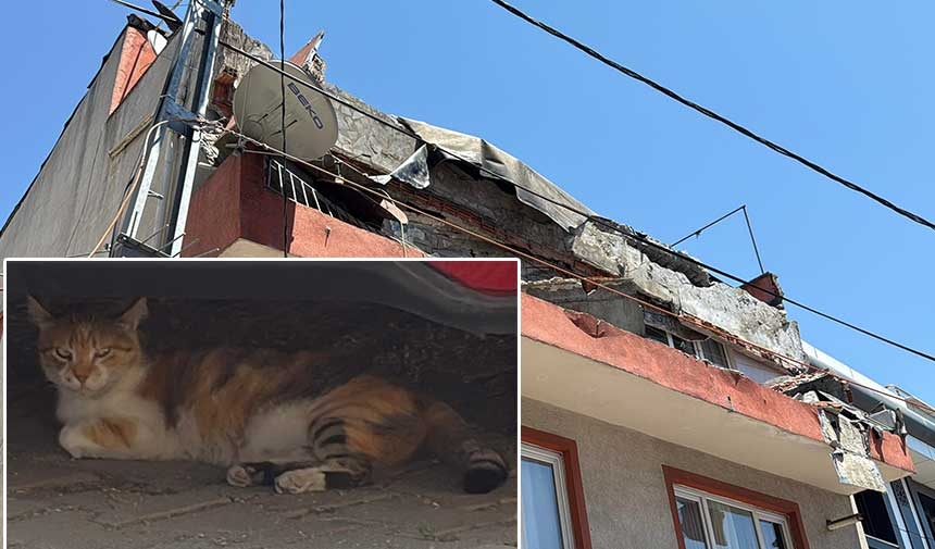Balkon zawalił się samoistnie w Kağıthane, kot cudem uniknął śmierci