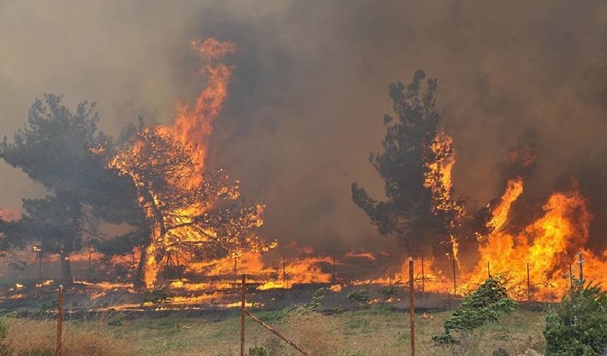 Déclaration sur l'état de santé des citoyens touchés par l'incendie