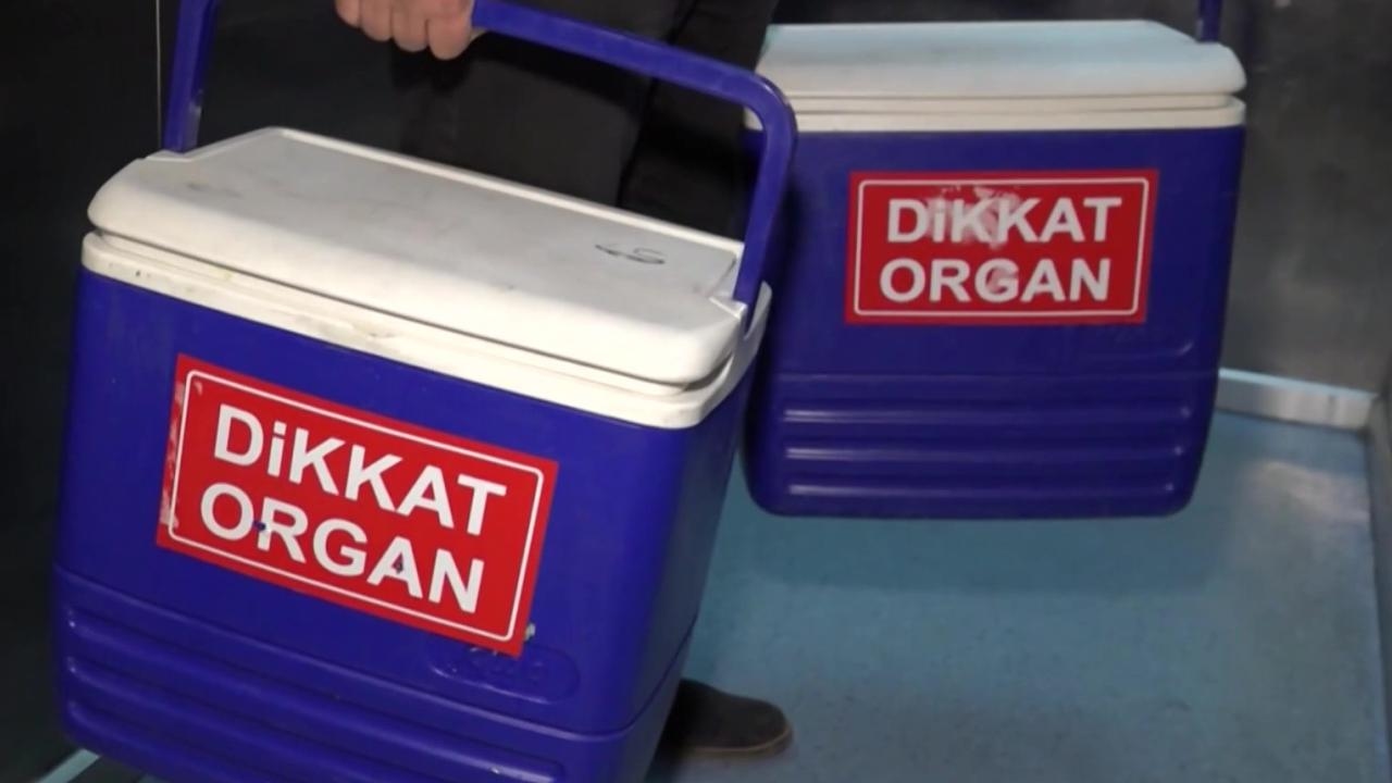 32,500 people are waiting for organ transplants in Türkiye