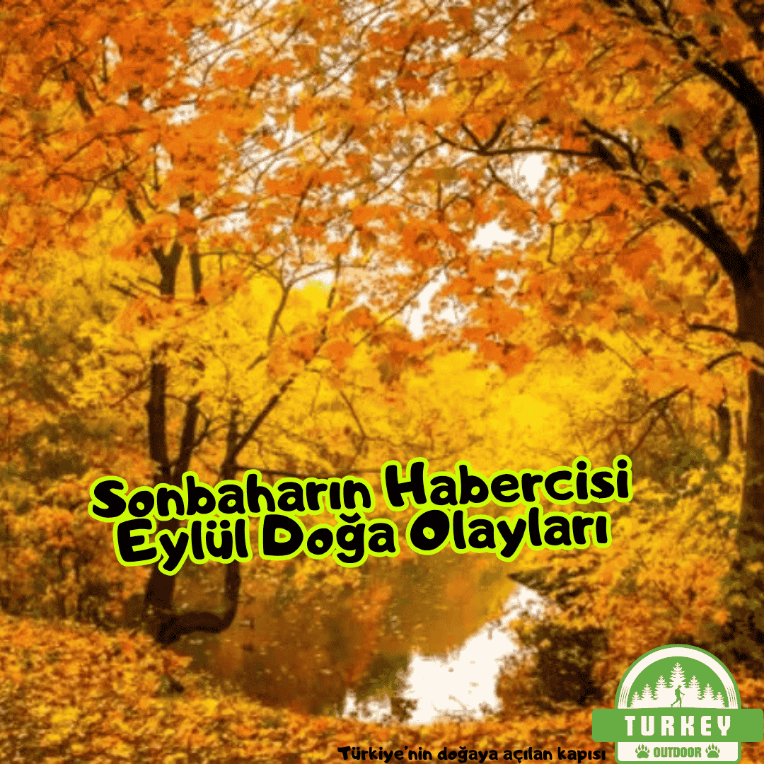Naturereignisse im September, Vorboten des Herbstes